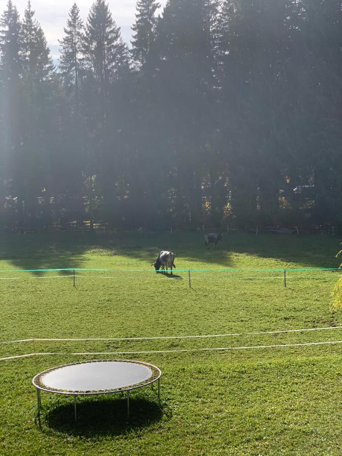 Apartament Birkenhof Leutasch Zewnętrze zdjęcie