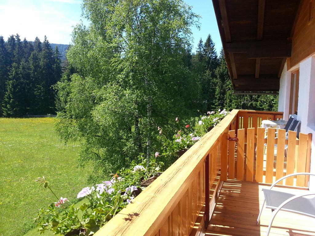Apartament Birkenhof Leutasch Zewnętrze zdjęcie