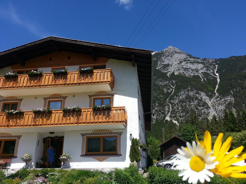Apartament Birkenhof Leutasch Zewnętrze zdjęcie